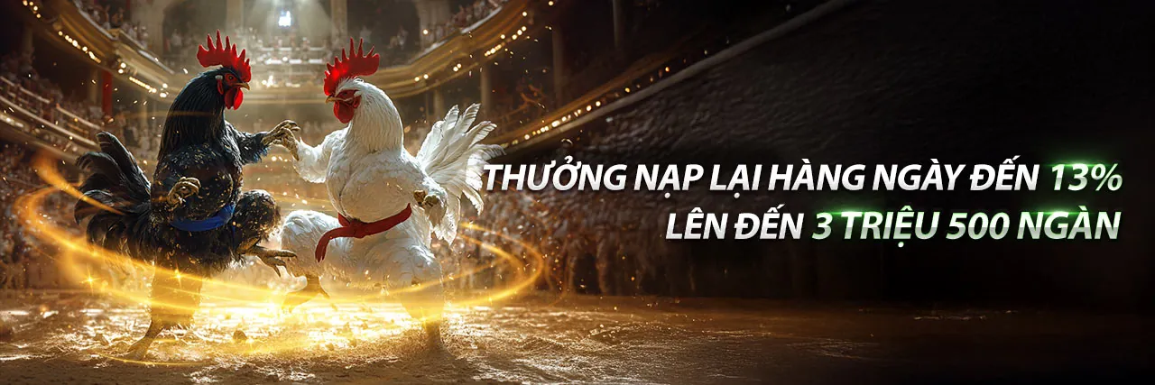 Cá cược thể thao tại uu88 code